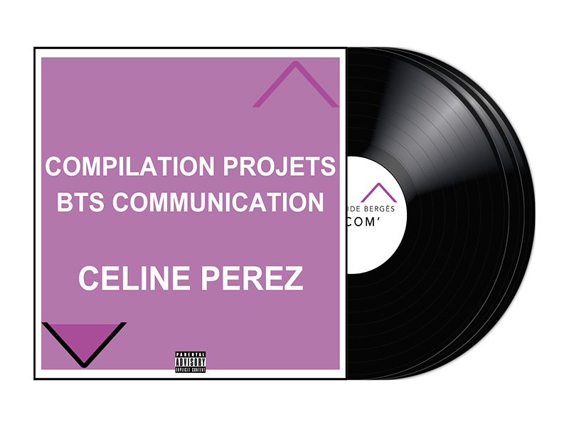 COMPILATION PROJETS – BTS COMMUNICATION – 2023/2025
